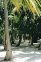 Malediven08